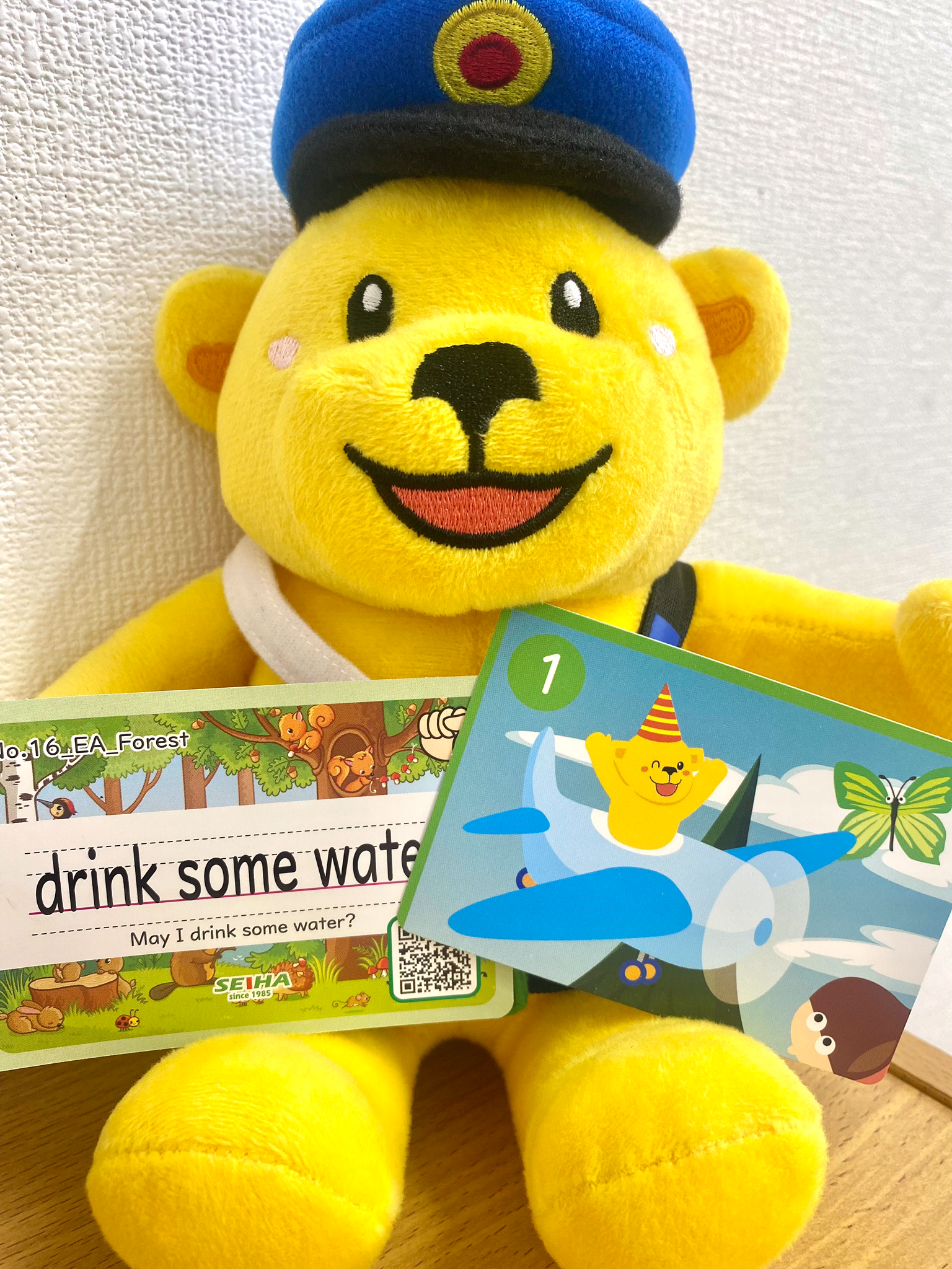 セイハオリジナル英語カードプラス1枚プレゼント♪